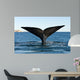 Tail Fluke Southern Right Wall Decal Design 1