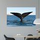 Tail Fluke Southern Right Wall Decal Design 1