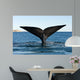 Tail Fluke Southern Right Wall Decal Design 1