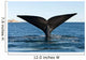 Tail Fluke Southern Right Wall Decal Design 1