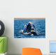 Rear Head Southern Right Wall Decal
