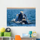 Rear Head Southern Right Wall Decal