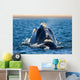 Rear Head Southern Right Wall Decal