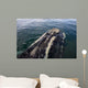 Head Southern Right Whale Wall Decal Design 4