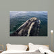 Head Southern Right Whale Wall Decal Design 4