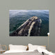 Head Southern Right Whale Wall Decal Design 4
