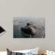 Head Close-up Southern Right Wall Decal