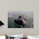 Head Close-up Southern Right Wall Decal