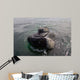 Head Close-up Southern Right Wall Decal