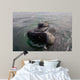 Head Close-up Southern Right Wall Decal