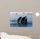 Southern Right Whale with Wall Decal Design 1