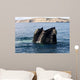 Southern Right Whale with Wall Decal Design 1
