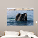 Southern Right Whale with Wall Decal Design 1