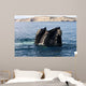 Southern Right Whale with Wall Decal Design 1