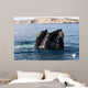 Southern Right Whale with Wall Decal Design 1