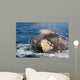 Headshot Southern Right Whale Wall Decal