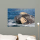 Headshot Southern Right Whale Wall Decal