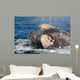 Headshot Southern Right Whale Wall Decal