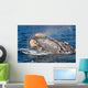 Head Southern Right Whale Wall Decal Design 3