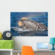 Head Southern Right Whale Wall Decal Design 3