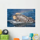 Head Southern Right Whale Wall Decal Design 3