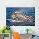 Head Southern Right Whale Wall Decal Design 3