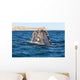 Top Head Seen from Wall Decal