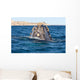 Top Head Seen from Wall Decal