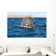 Top Head Seen from Wall Decal