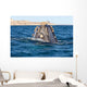 Top Head Seen from Wall Decal