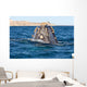 Top Head Seen from Wall Decal
