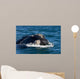 Head Southern Right Whale Wall Decal Design 2