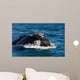 Head Southern Right Whale Wall Decal Design 2