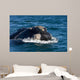 Head Southern Right Whale Wall Decal Design 2
