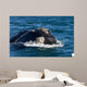 Head Southern Right Whale Wall Decal Design 2