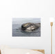 Head Southern Right Whale Wall Decal Design 1