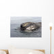 Head Southern Right Whale Wall Decal Design 1