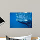 Southern Right Whale Calf Wall Decal Design 1
