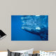 Southern Right Whale Calf Wall Decal Design 1