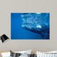 Southern Right Whale Calf Wall Decal Design 1