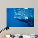 Southern Right Whale Calf Wall Decal Design 1