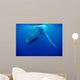 Humpback Whale Tonga Islands Wall Decal Design 2