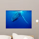 Humpback Whale Tonga Islands Wall Decal Design 2
