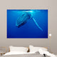 Humpback Whale Tonga Islands Wall Decal Design 2