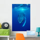 Humpback Whale Megaptera Novaeangliae Wall Decal Design 1