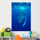 Humpback Whale Megaptera Novaeangliae Wall Decal Design 1
