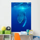 Humpback Whale Megaptera Novaeangliae Wall Decal Design 1