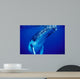 Humpback Whale Tonga Islands Wall Decal Design 1