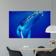 Humpback Whale Tonga Islands Wall Decal Design 1
