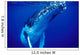 Humpback Whale Tonga Islands Wall Decal Design 1